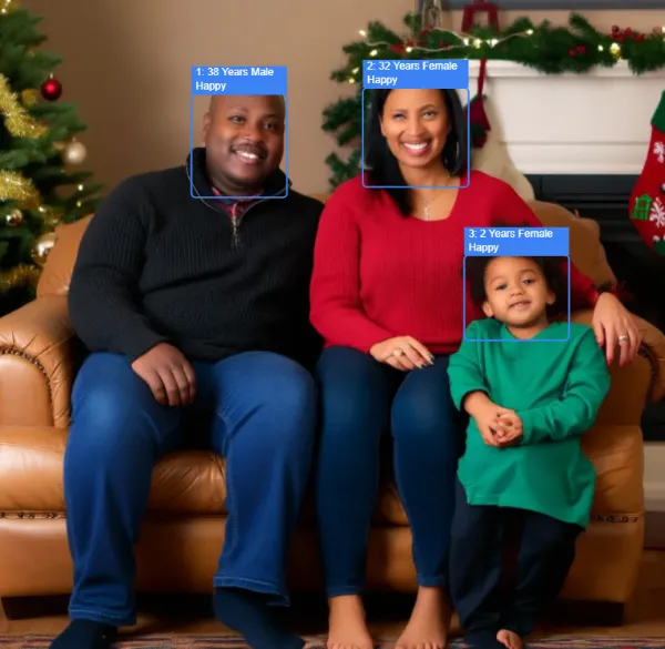 Face analysis example
